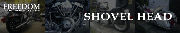 �V���x���w�b�h