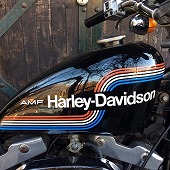 1975�N��XLCH�X�|�[�c�X�^�[